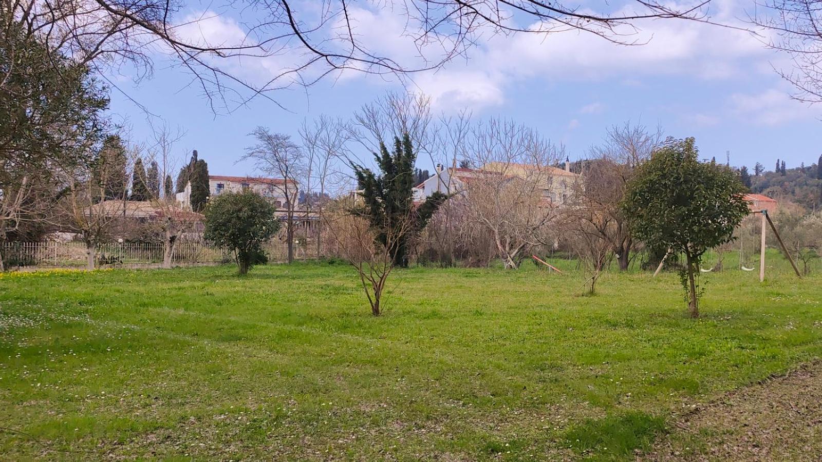 Comissa Sidari (Corfu)